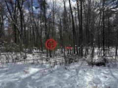 美国威斯康星州Keshena的农业用地，N1603 Spirit Ridge Road #37，编号77223316