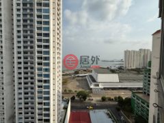 巴拿马巴拿马城巴拿马城的公寓，编号77871062
