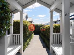 新西兰奥克兰的独栋别墅，80 Arney Road，编号78262134