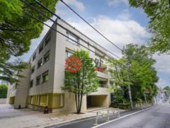 日本JapanTokyo的公寓，编号77812141