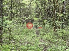 美国田纳西州Granville的住宅用地，Huff Hollow Rd，编号77182495