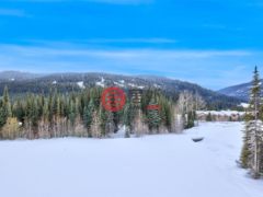 加拿大不列颠哥伦比亚省Sun Peaks的公寓，7005 MCGILLIVRAY LAKE，编号75525270