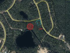 美国佛罗里达州奇普利的住宅用地，None Lot 37 Diane Place，编号77562099