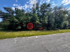 美国佛罗里达州奇普利的住宅用地，None Lot 37 Diane Place，编号77562099