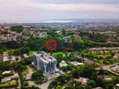 牙买加KingstonKingston的公寓，39 Wellington Drive，编号77808911
