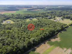 美国俄亥俄州马利安的公寓，River，编号78356720