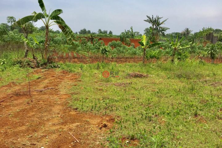 印尼jawa barat的独栋别墅